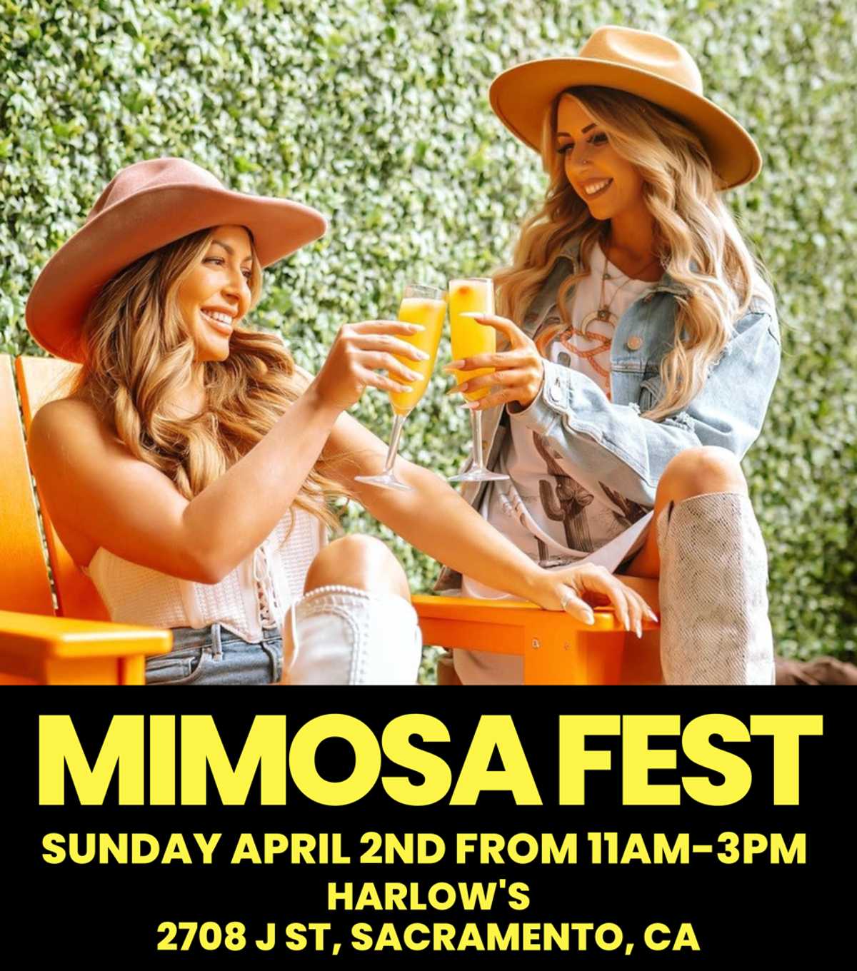 Mimosa 433531677746756