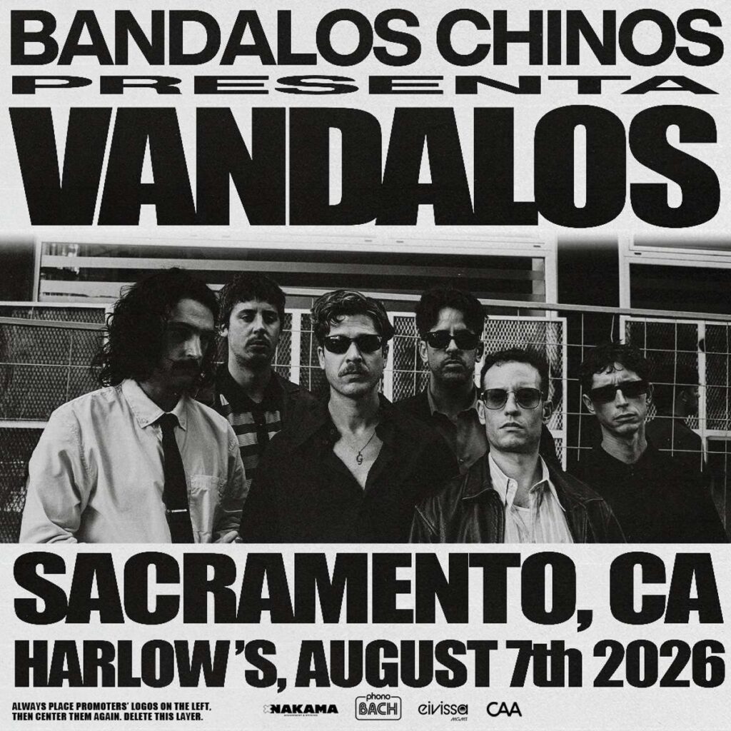 bandalos chinos presenta vandalos