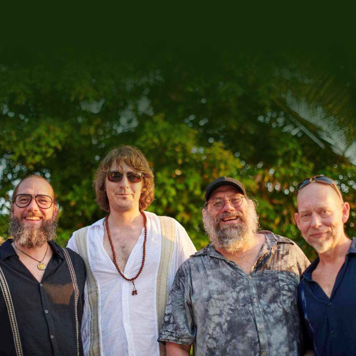 Steely Dead: A Sonic Fusion of the Grateful Dead and Steely Dan
